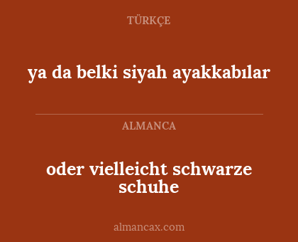 oder vielleicht schwarze schuhe - ya da belki siyah ayakkabılar