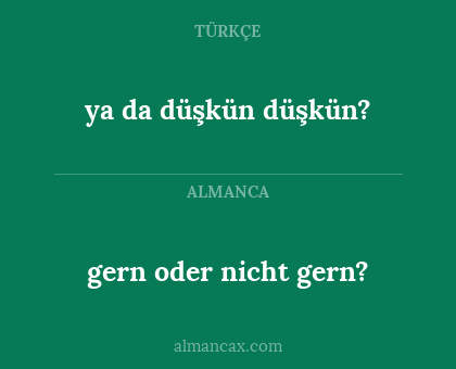 gern oder nicht gern? - ya da düşkün düşkün?