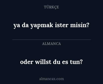 oder willst du es tun? - ya da yapmak ister misin?