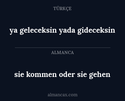 sie kommen oder sie gehen - ya geleceksin yada gideceksin