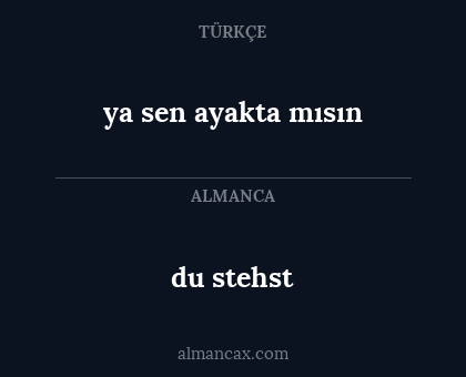 du stehst - ya sen ayakta mısın