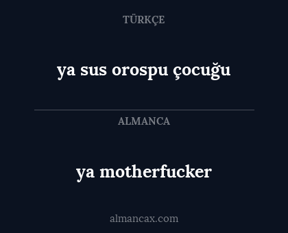 ya sus orospu çocuğu - ya motherfucker