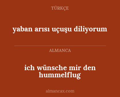 ich wünsche mir den hummelflug - yaban arısı uçuşu diliyorum