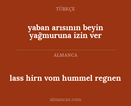 lass hirn vom hummel regnen - yaban arısının beyin yağmuruna izin ver
