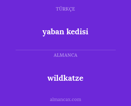 wildkatze - yaban kedisi