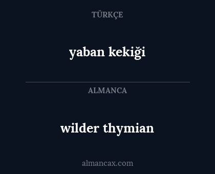 wilder thymian - yaban kekiği
