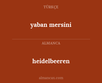 yaban mersini - heidelbeeren