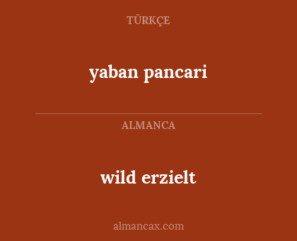 wild erzielt - yaban pancari