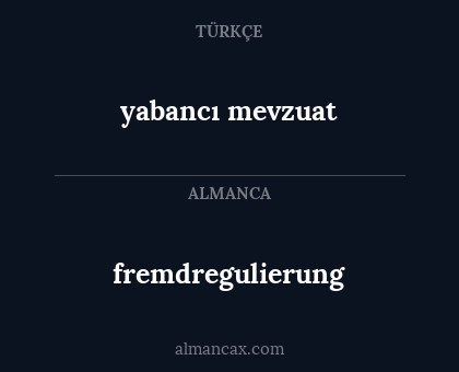 fremdregulierung - yabancı mevzuat