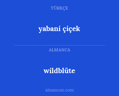 wildblüte - yabani çiçek