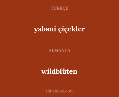 wildblüten - yabani çiçekler