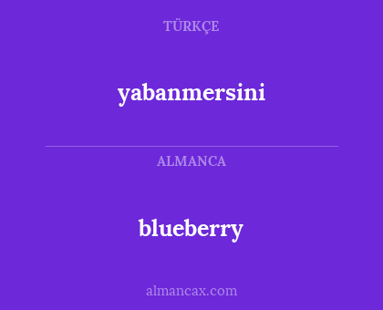 yabanmersini - blueberry