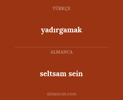 seltsam sein - yadırgamak