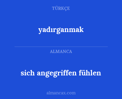 sich angegriffen fühlen - yadırganmak