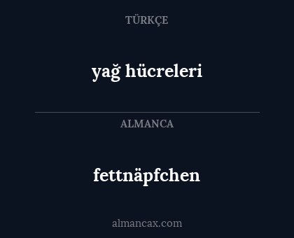 fettnäpfchen - yağ hücreleri