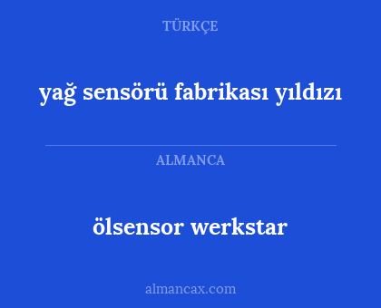 yağ sensörü fabrikası yıldızı - ölsensor werkstar
