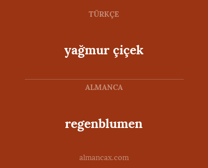 yağmur çiçek - regenblumen