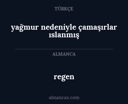 regen - yağmur nedeniyle çamaşırlar ıslanmış