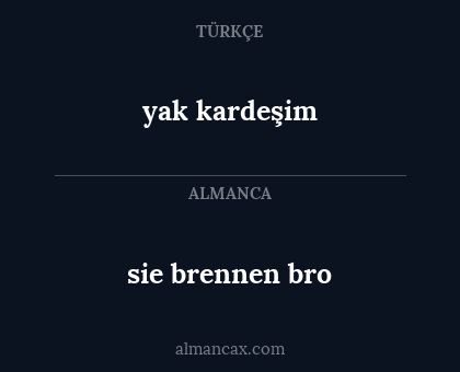 sie brennen bro - yak kardeşim