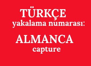 yakalama+numaras%C4%B1%3A-capture-nummer%3A.png