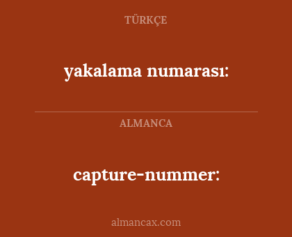 capture-nummer: - yakalama numarası: