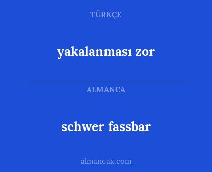 schwer fassbar - yakalanması zor