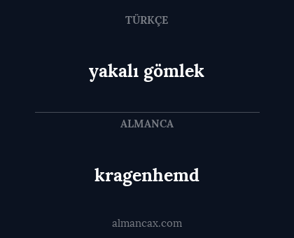 yakalı gömlek - kragenhemd
