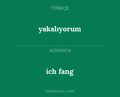 yakalıyorum - ich fang