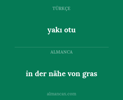 in der nähe von gras - yakı otu