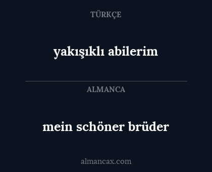 mein schöner brüder - yakışıklı abilerim