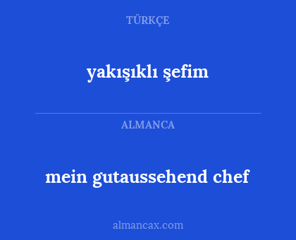 yakışıklı şefim - mein gutaussehend chef