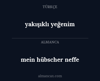 yakışıklı yeğenim - mein hübscher neffe