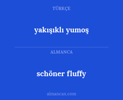 schöner fluffy - yakışıklı yumoş