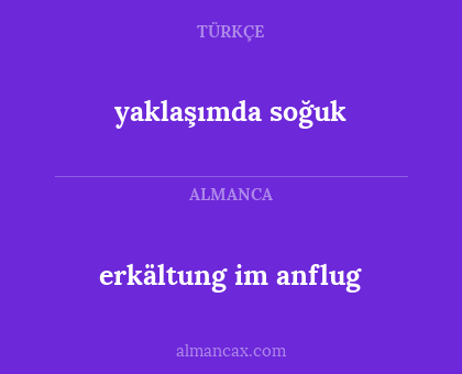 erkältung im anflug - yaklaşımda soğuk