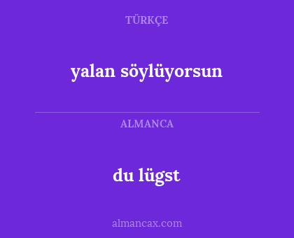 du lügst - yalan söylüyorsun