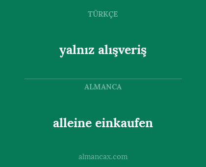 alleine einkaufen - yalnız alışveriş