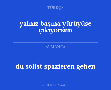 yalnız başına yürüyüşe çıkıyorsun - du solist spazieren gehen