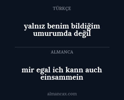 yalnız benim bildiğim umurumda değil - mir egal ich kann auch einsammein