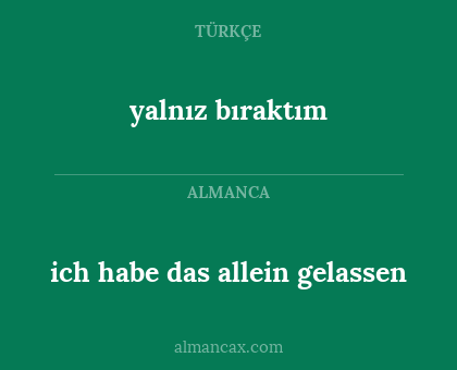 yalnız bıraktım - ich habe das allein gelassen