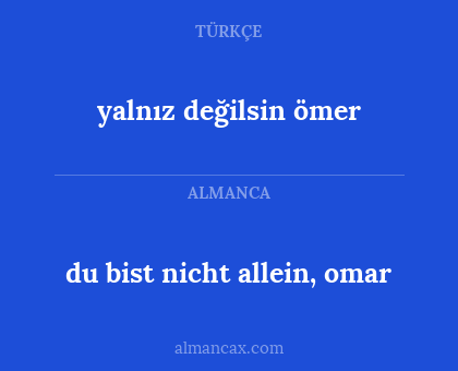 yalnız değilsin ömer - du bist nicht allein, omar