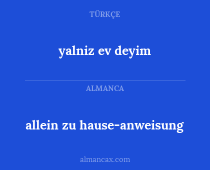 yalniz ev deyim - allein zu hause-anweisung