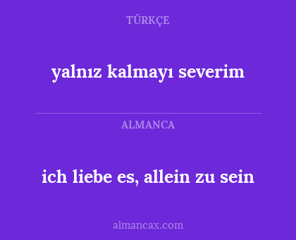 ich liebe es, allein zu sein - yalnız kalmayı severim
