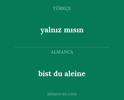 bist du aleine - yalnız mısın