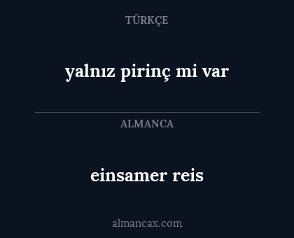 yalnız pirinç mi var - einsamer reis