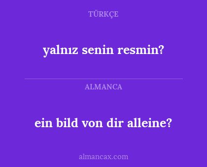 ein bild von dir alleine? - yalnız senin resmin?