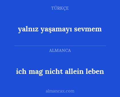 ich mag nicht allein leben - yalnız yaşamayı sevmem