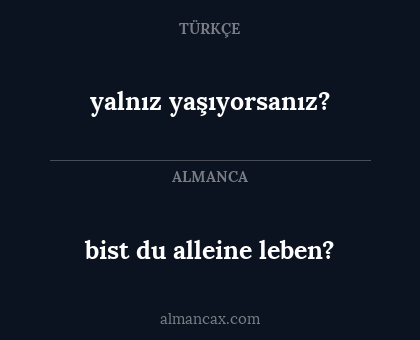 bist du alleine leben? - yalnız yaşıyorsanız?