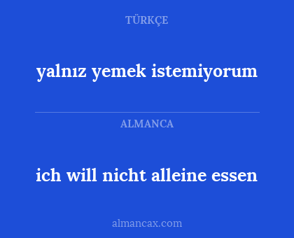 ich will nicht alleine essen - yalnız yemek istemiyorum