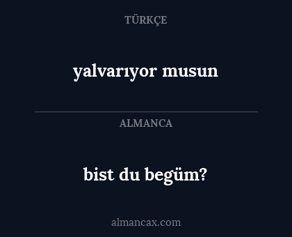 yalvarıyor musun - bist du begüm?