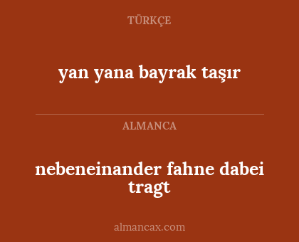 nebeneinander
fahne
dabei
tragt - yan yana bayrak taşır